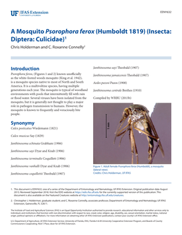 A Mosquito Psorophora Ferox (Humboldt 1819) (Insecta: Diptera: Culicidae)1 Chris Holderman and C