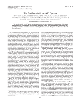 The Bacillus Subtilis Ureabc Operon