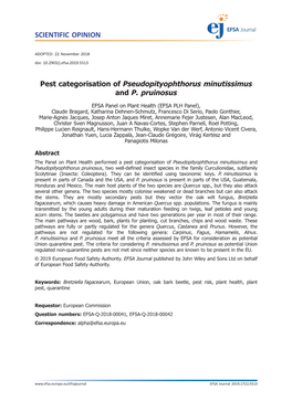 Pest Categorisation of Pseudopityophthorus 