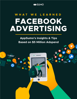 What We Learned: Facebook Advertising