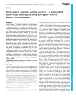 Chromosome–Nuclear Envelope Tethering – a Process That Orchestrates Homologue Pairing During Plant Meiosis? Adél Sepsi1,2,* and Trude Schwarzacher3,4