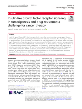 Insulin-Like Growth Factor Receptor Signaling in Tumorigenesis and Drug