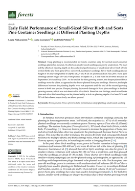 Early Field Performance of Small-Sized Silver Birch and Scots Pine Container Seedlings at Different Planting Depths