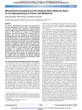 Mitochondrial Uncoupling and the Warburg Effect: Molecular Basis for the Reprogramming of Cancer Cell Metabolism