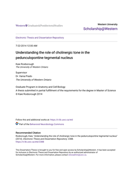 Understanding the Role of Cholinergic Tone in the Pedunculopontine Tegmental Nucleus