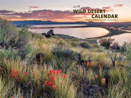 Wild Desert Calendar Has Been Connecting People Throughout Oregon and Beyond to Our Incredible Wild Desert for Nearly 15 Years