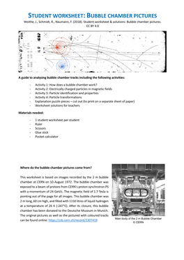 Student Worksheet:Bubble Chamber