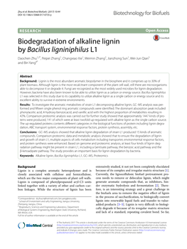 Biodegradation of Alkaline Lignin by Bacillus Ligniniphilus L1