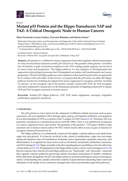 Mutant P53 Protein and the Hippo Transducers YAP and TAZ: a Critical Oncogenic Node in Human Cancers