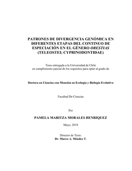 Pamela Morales Henriquez.Pdf