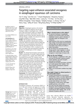 Targeting Super-Enhancer-Associated Oncogenes in Oesophageal