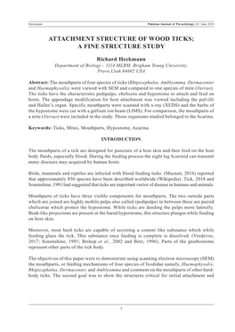 Attachment Structure of Wood Ticks; a Fine Structure Study