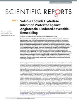Soluble Epoxide Hydrolase Inhibition Protected Against Angiotensin II