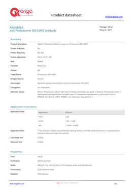 Anti-Proteasome 20S LMP2 Antibody (ARG41082)