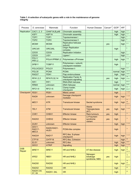 Table 1. a Selection of Eukaryotic Genes with a Role in the Maintenance of Genome Integrity