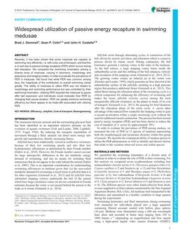 Widespread Utilization of Passive Energy Recapture in Swimming Medusae Brad J