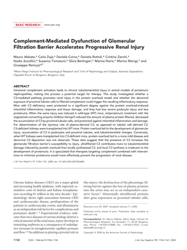 Complement-Mediated Dysfunction of Glomerular Filtration Barrier Accelerates Progressive Renal Injury