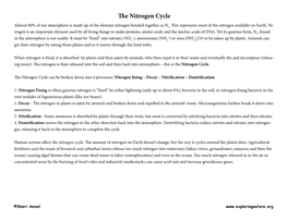 The Nitrogen Cycle