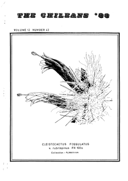 VOLUME 12 NUMBER 42 CLEISTOCACTUS FOSSULATUS V