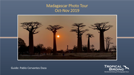 Madagascar Photo Tour Oct-Nov 2019