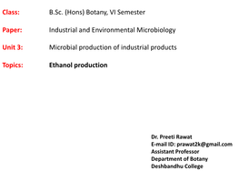 Ethanol Production