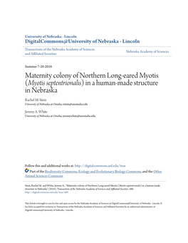 Maternity Colony of Northern Long-Eared Myotis (<I>Myotis