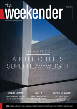 Tadao Ando Architecture’S Superheavyweight