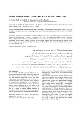 Hierochloe Odorata (Poaceae), a New Report from Iran