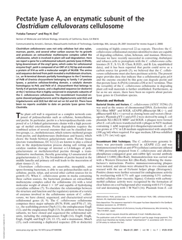 Pectate Lyase A, an Enzymatic Subunit of the Clostridium Cellulovorans Cellulosome