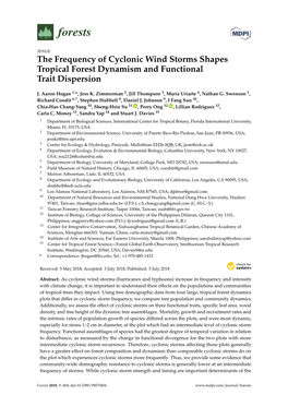 The Frequency of Cyclonic Wind Storms Shapes Tropical Forest Dynamism and Functional Trait Dispersion