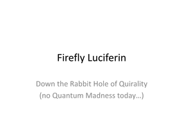 Firefly Luciferin