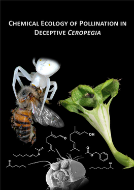 Chemical Ecology of Pollination in Deceptive Ceropegia