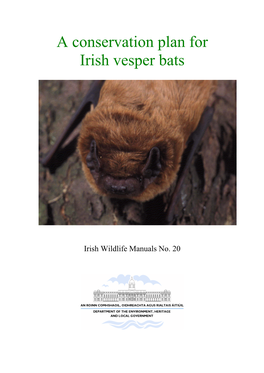 Introduction to the Irish Vespertilionid Bats