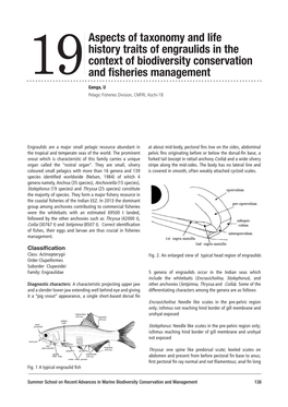 Aspects of Taxonomy and Life History Traits of Engraulids in the Context Of