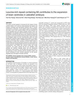 Leucine-Rich Repeat Containing 8A Contributes to the Expansion Of