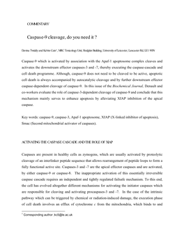 Caspase-9 Cleavage, Do You Need It ?