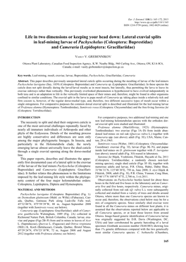 Lateral Exuvial Splits in Leaf-Mining Larvae of Pachyschelus (Coleoptera: Buprestidae) and Cameraria (Lepidoptera: Gracillariidae)