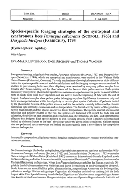 Species-Specific Foraging Strategies of the Syntoplcal and Synchronous Bees Panurgus Calcaratus (SCOPOLI, 1763) and Dasypoda Hirtipes (Fabricius), 1793