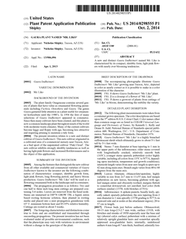 (12) Plant Patent Application Publication (10) Pub