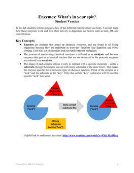 Enzyme Lab – Teacher