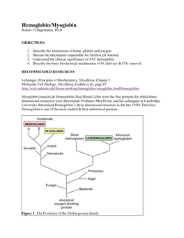 Hemoglobin/Myoglobin Robert F.Diegelmann, Ph.D