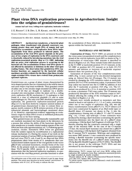 Plant Virus DNA Replication Processes in Agrobacterium