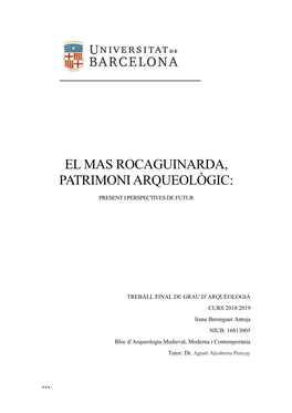 El Mas Rocaguinarda, Patrimoni Arqueològic