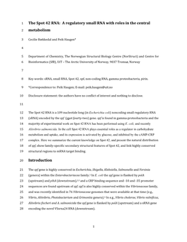 The Spot 42 RNA: a Regulatory Small RNA with Roles in the Central