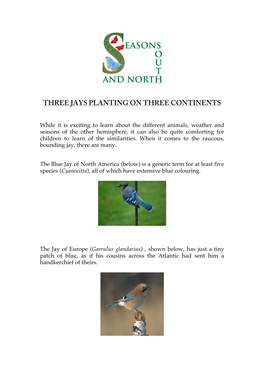 Three Jays Planting on Three Continents