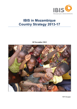 IBIS in Mozambique Country Strategy 2013-17