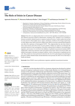 The Role of Irisin in Cancer Disease