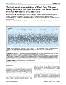 The Independent Acquisition of Plant Root Nitrogen-Fixing Symbiosis in Fabids Recruited the Same Genetic Pathway for Nodule Organogenesis