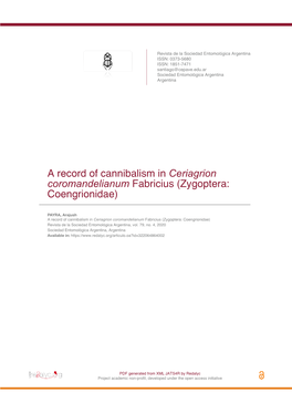 A Record of Cannibalism in Ceriagrion Coromandelianum Fabricius (Zygoptera: Coengrionidae)