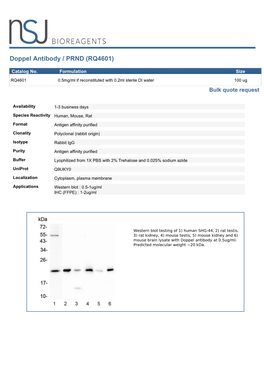 Doppel Antibody / PRND (RQ4601)